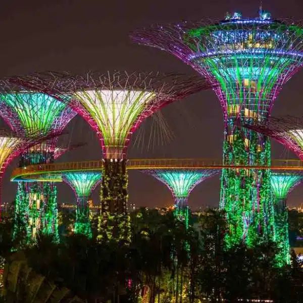 Gardens by the Bay & Marina Bay Sands