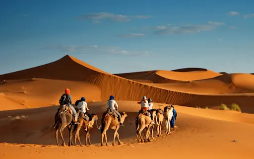Day 3: Desert Safari