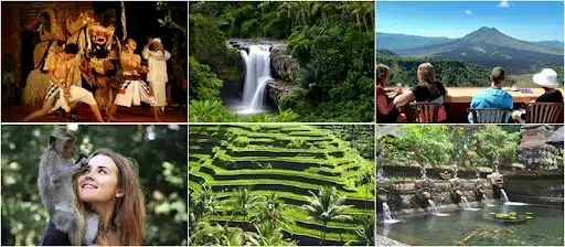 Kintamani and ubud tour.