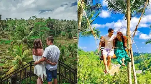 Why Choose Fliptrip for Your Bali Adventure? 
