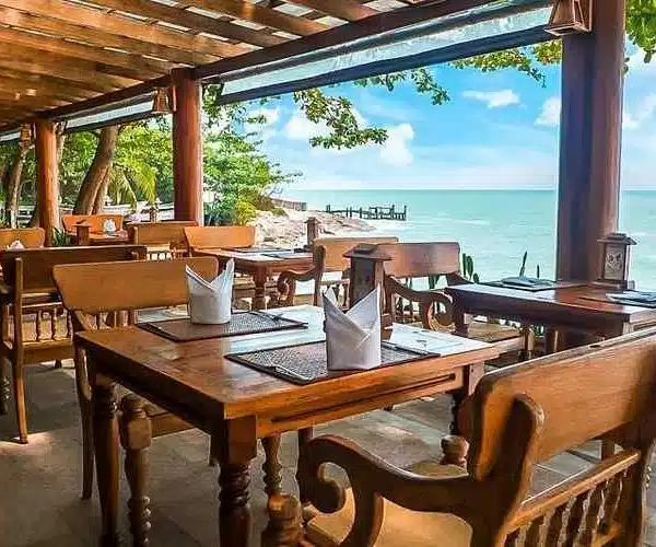 Entertainment, Dining, and Relaxation