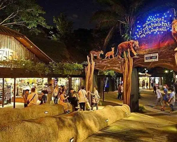 Magical Night Safari