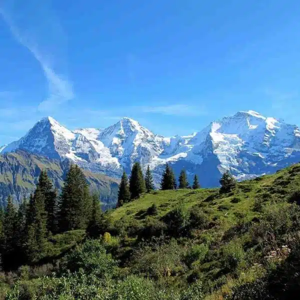Grindelwald