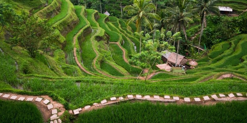 Ubud
