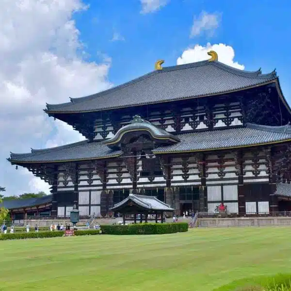 Nara: Deer, Temples, and Tranquility