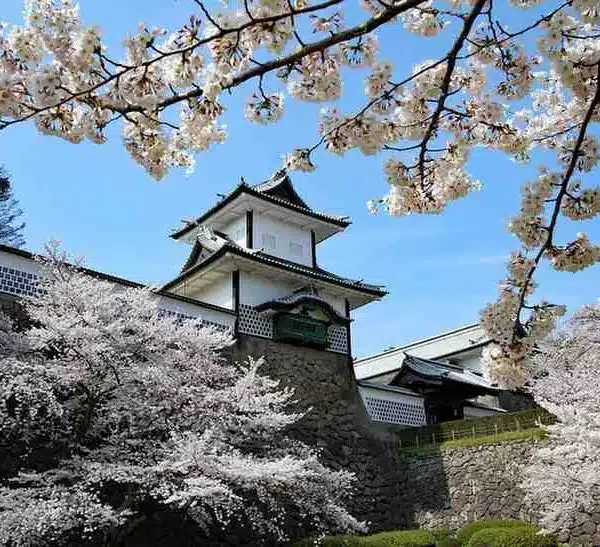 Kanazawa: Gardens, Geisha, and Gold Leaf