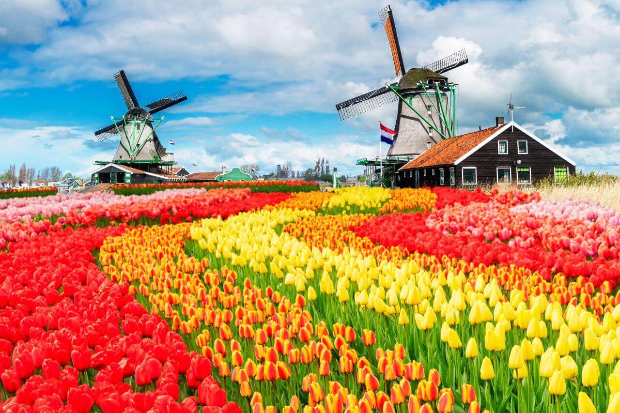 Netherlands