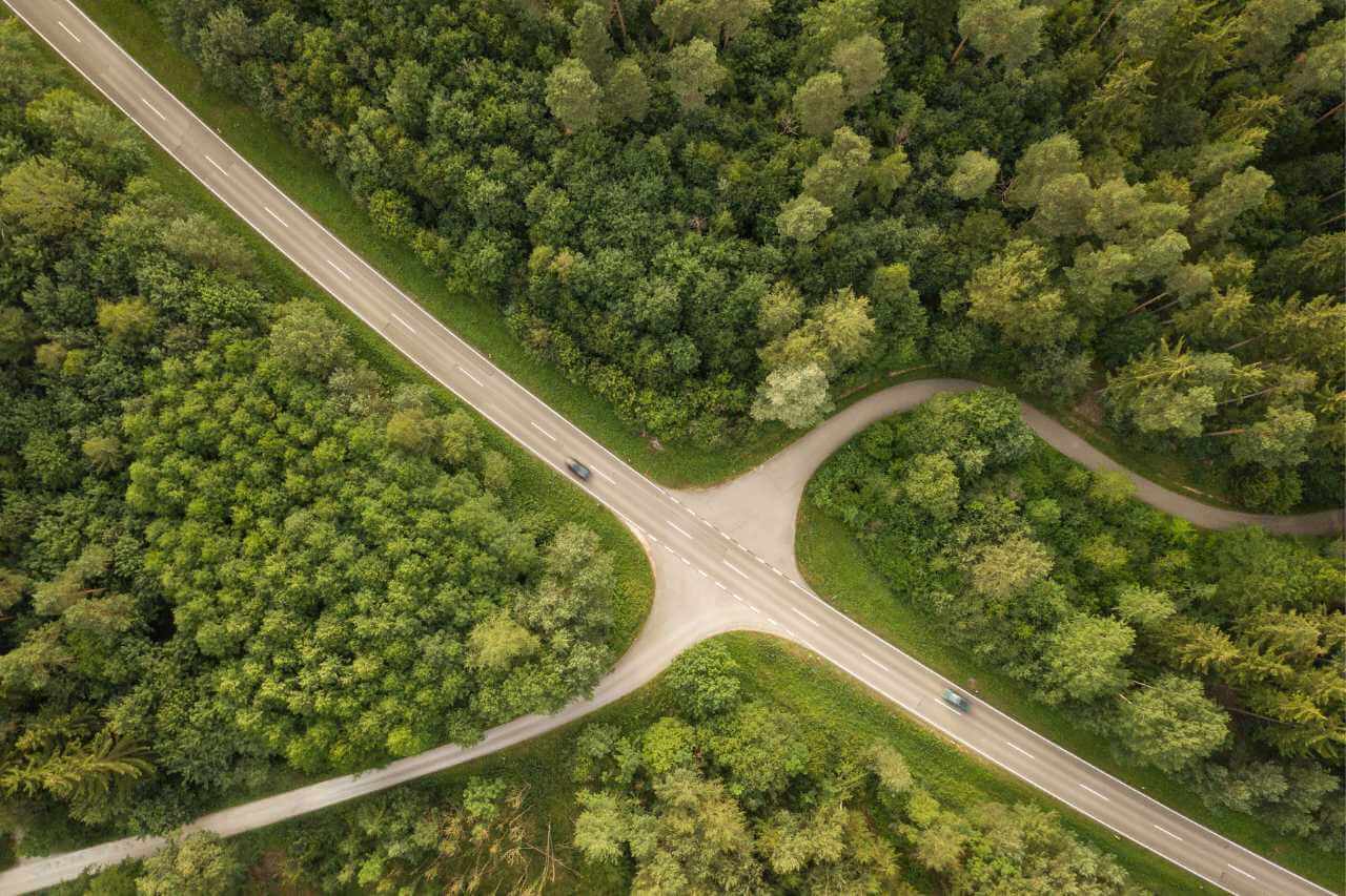 Self driving through scenic roads