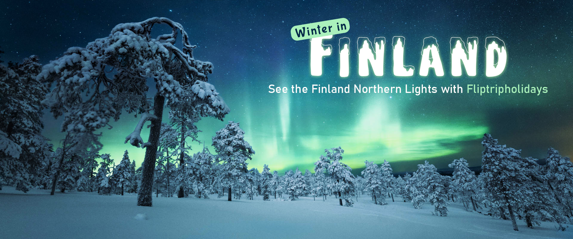 Finland Northern Lights