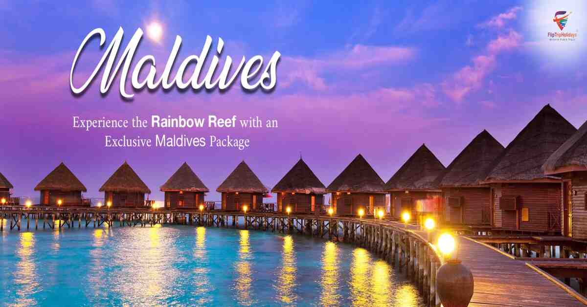 Rainbow Reef with an Exclusive Maldives Tour Package