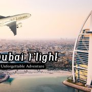 Delhi to Dubai Flight