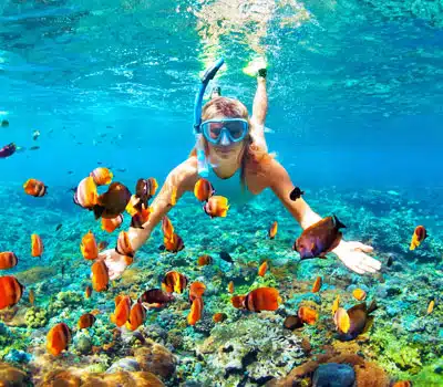 Best Time to Visit Maldives for Adventures