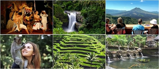 Kintamani and ubud tour.