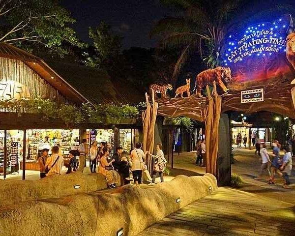 Magical Night Safari