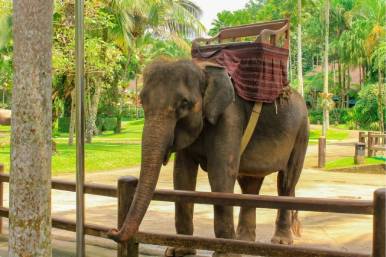 bali adventure tour package