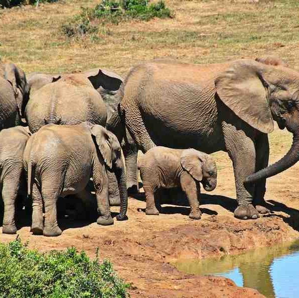 Kruger National Park