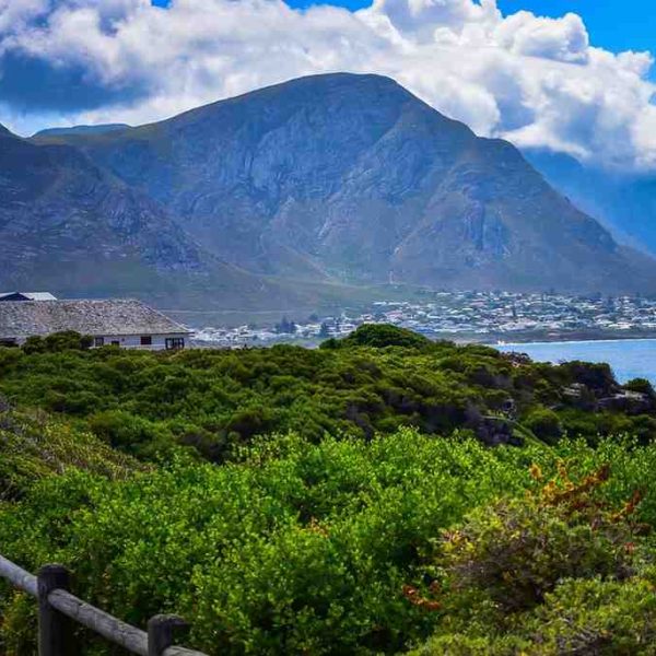 Hermanus