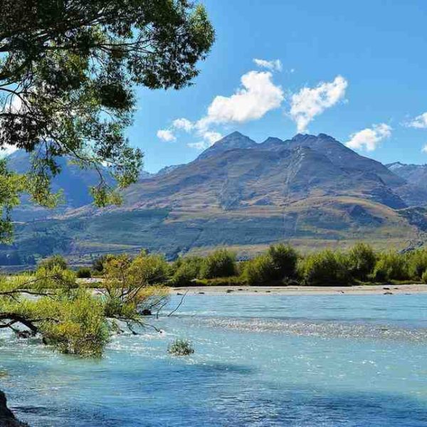 Lake Wakatipu Cruise at Steamy Serenity