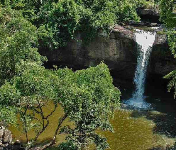 Khao Yai National Park Nature's Oasis