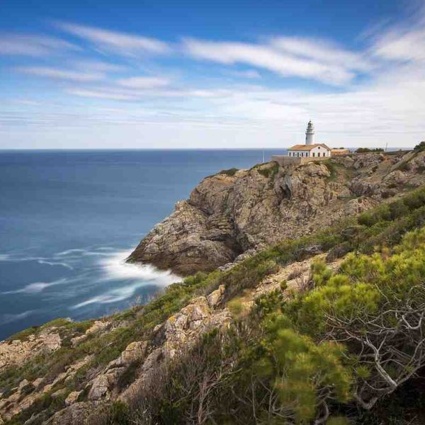 Wild Coast