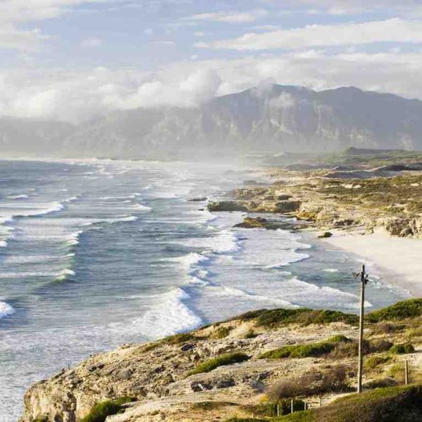 Gansbaai