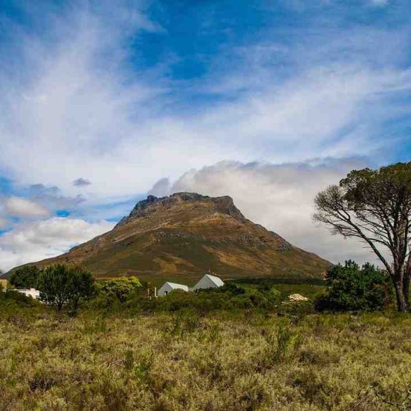 Stellenbosch