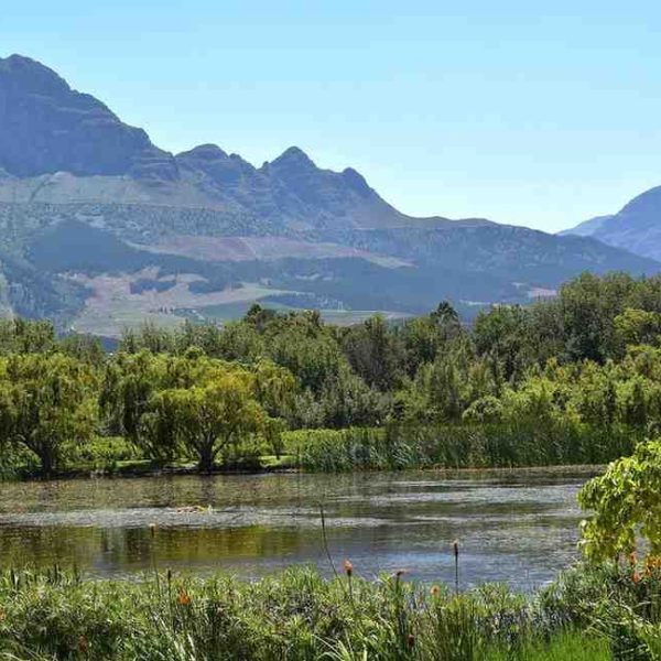 Cape Winelands