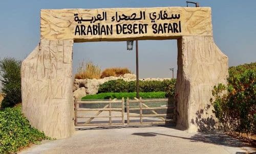 Arabian Desert Safari