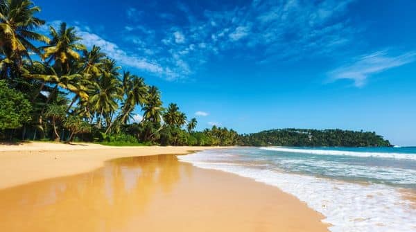 Arugam Bay
