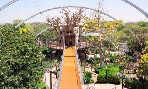Grand Aviary