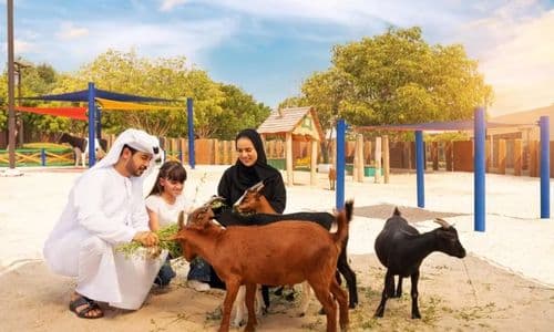 Live Animal Shows