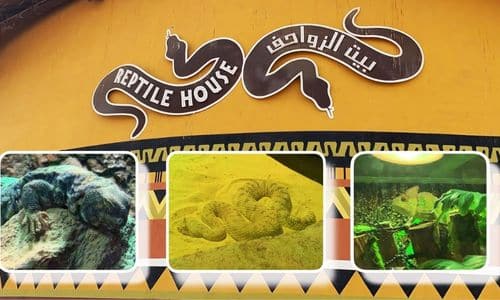 Reptile House