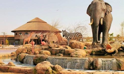 Safari Village Drive