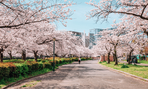 Kyoto