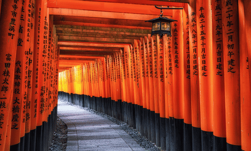 Torii Gates