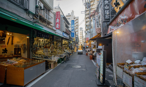 Tsukiji Outer Market