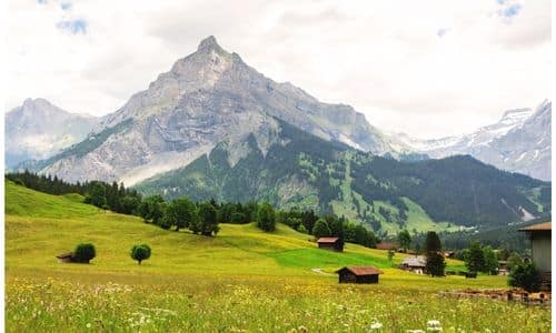 Swiss National Park